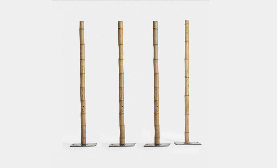 Bamboo Masts | Crimons